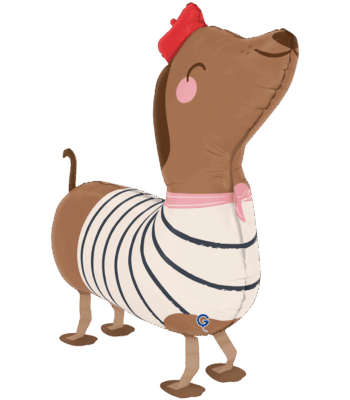 AirWalker Dachshund mit Hut 64cm 1