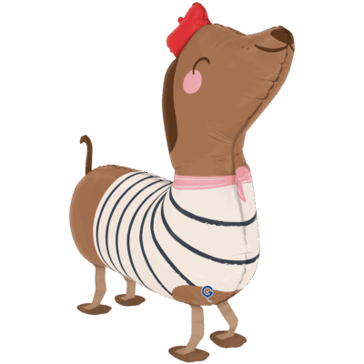 AirWalker Dachshund mit Hut 64cm 1