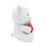 Ballongewicht Baer mit Kuvert 4