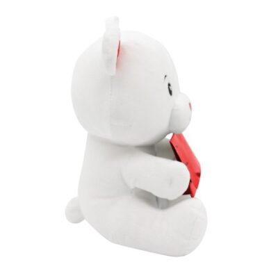 Ballongewicht Baer mit Kuvert 4