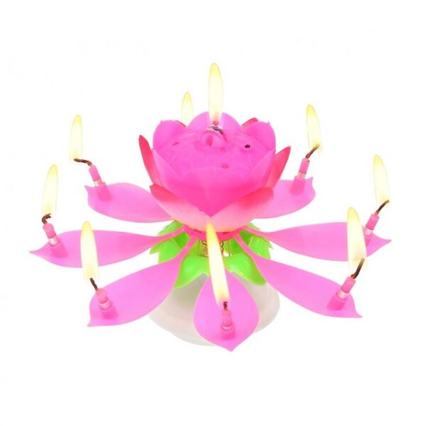 Blumenkerze Musik Rosa 1