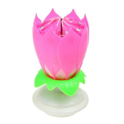 Blumenkerze Musik Rosa