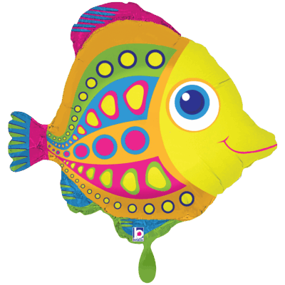 Chip Fisch 55x49cm