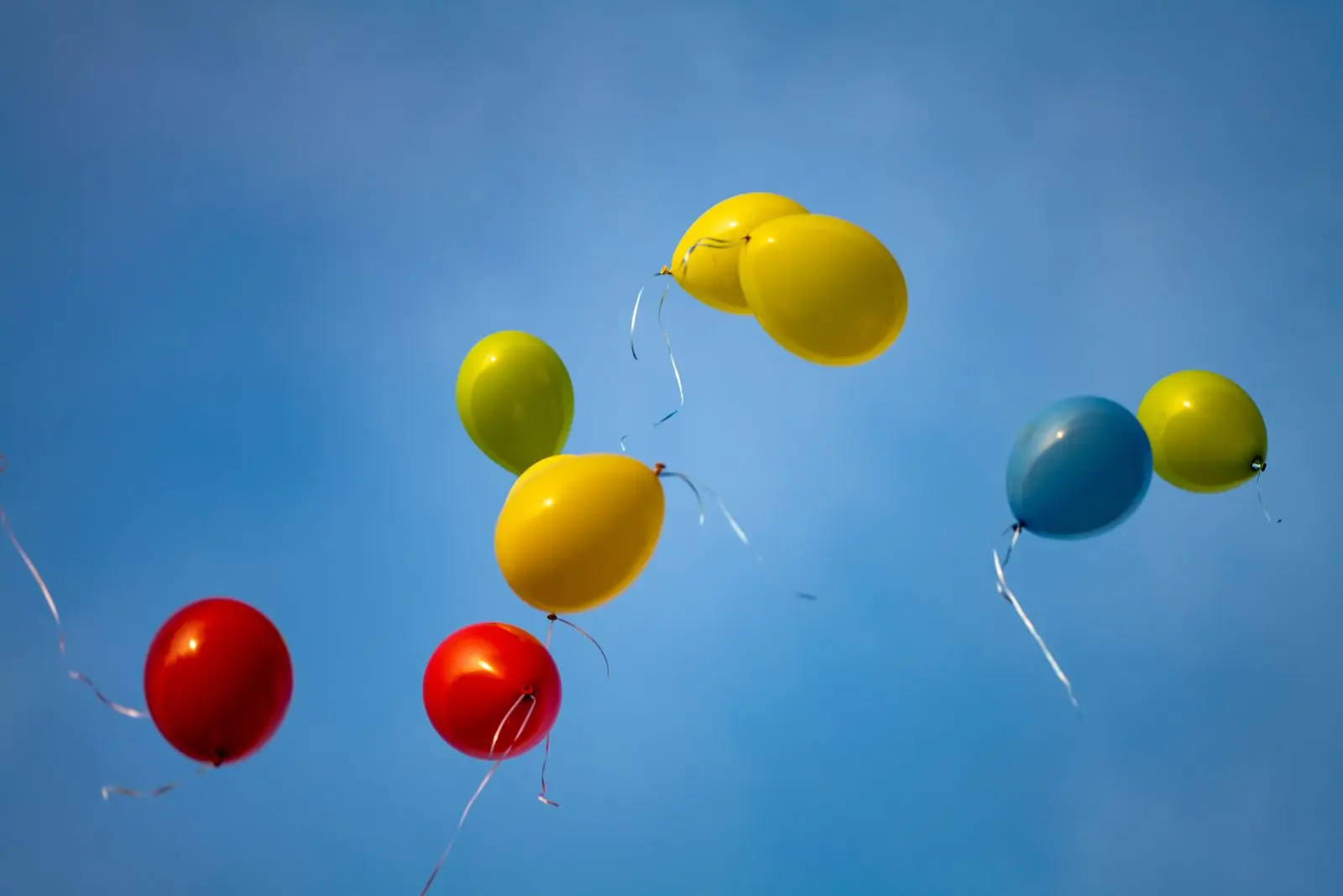 Ballongas kaufen in einem Fachgeschäft in Wien