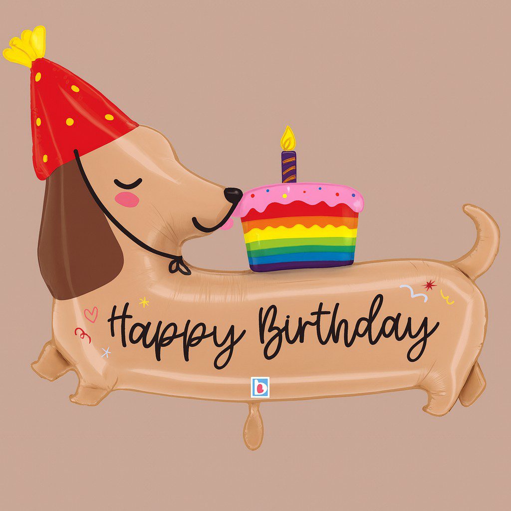 dackel mit partyhut happy birthday ballon partydeko 2 dackel mit partyhut happy birthday ballon partydeko 2