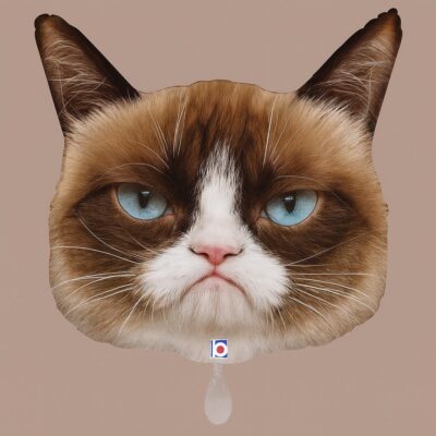 grumpy cat ballon 61cm lustige partydeko geburtstag ballonwerk