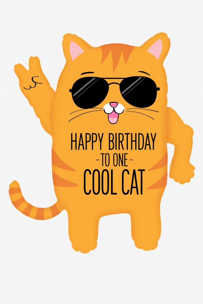 happy birthday to one cool cat 66cm ballon ballonwerk