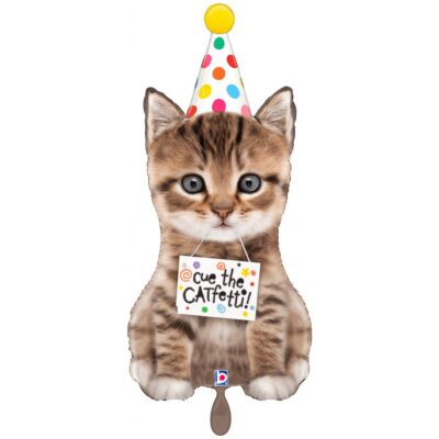 kaetzchen mit partyhut ballon tierdeko