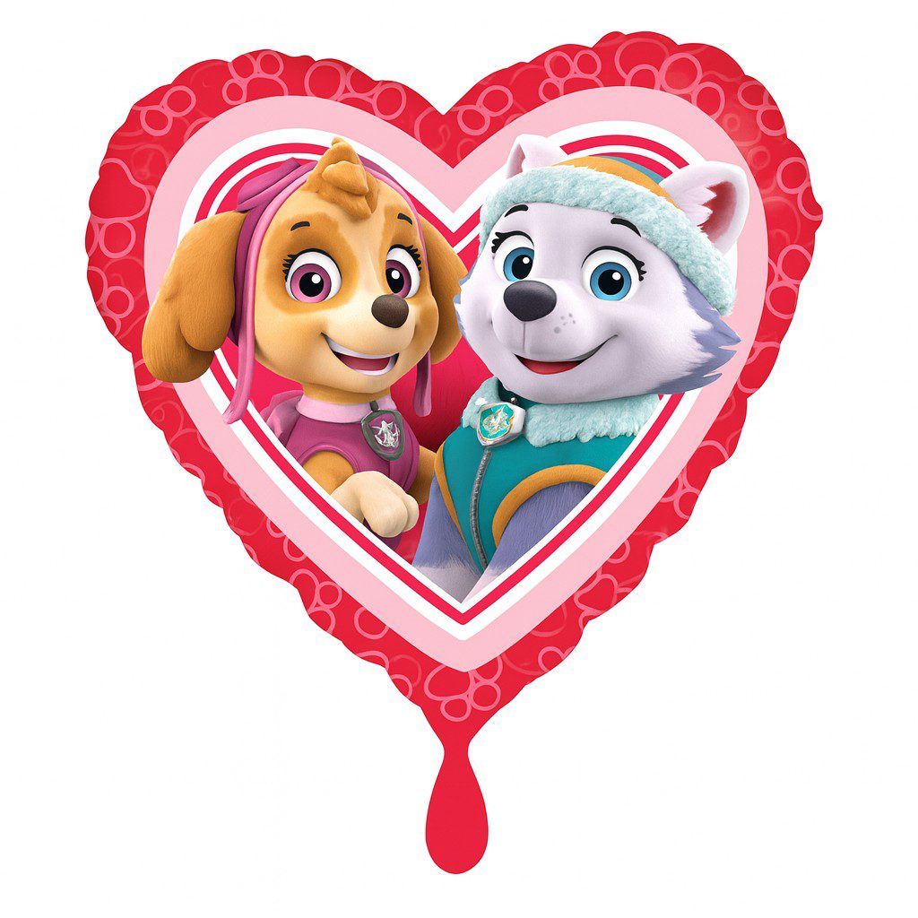 paw patrol skye und zuma 43cm ballon partydeko ballonwerk