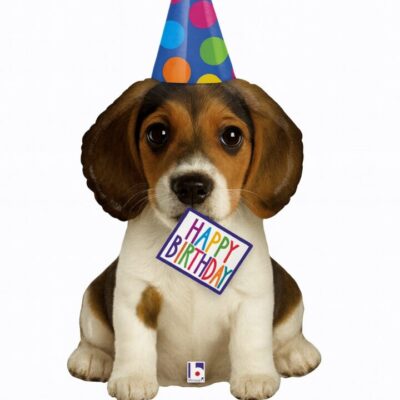 welpe mit partyhut happy birthday 94cm ballon ballonwerk