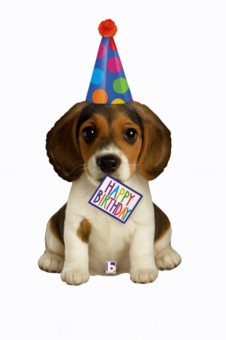 welpe mit partyhut happy birthday 94cm ballon ballonwerk welpe mit partyhut happy birthday 94cm ballon ballonwerk